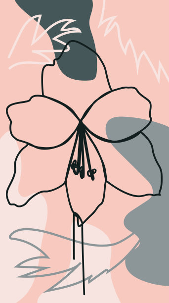 宣传册，年度报告和封面设计模板图片下载