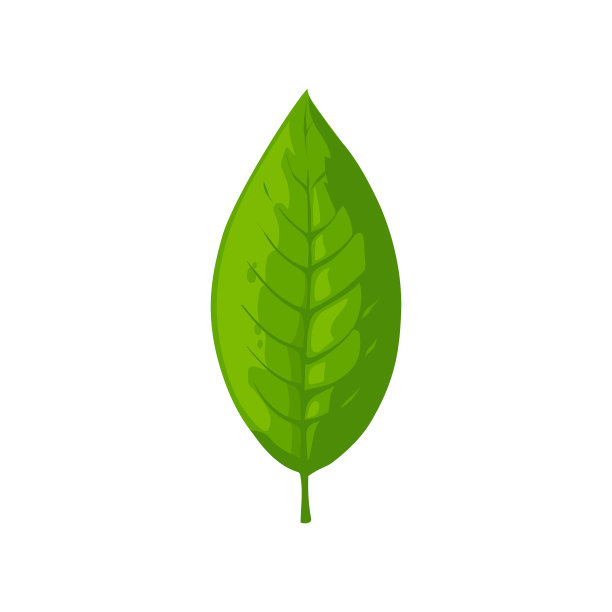 用叶脉分离绿茶饮料成分图片下载