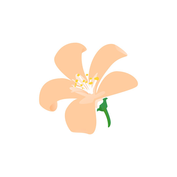 茉莉花粉花分离中草药茶成分图片下载