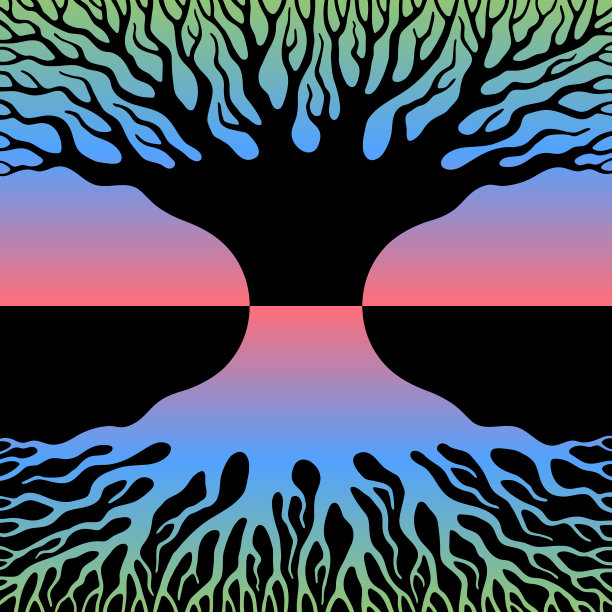 这是一棵枝根浓密的大古树的轮廓图片下载