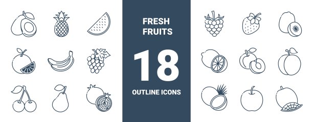 轮廓图标收集的新鲜浆果和热带水果。图片下载