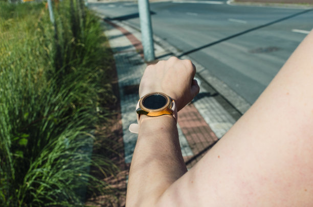 一个年轻的女人带着小狗在公园里散步图片下载