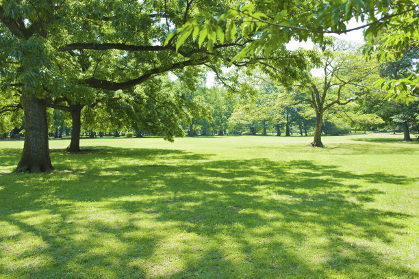 格林公园图片下载