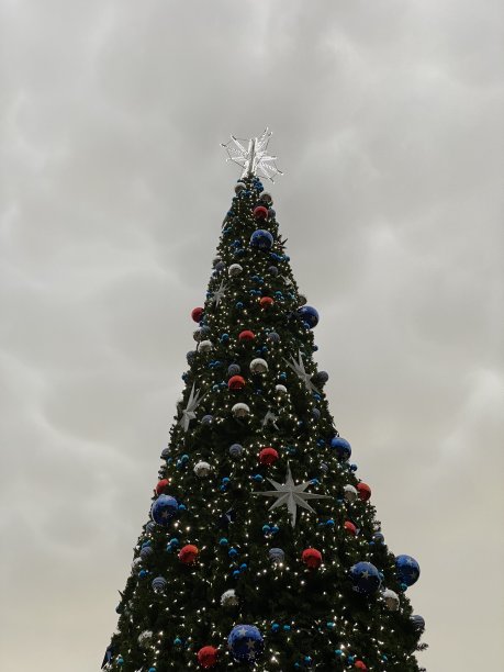 圣诞树在户外图片下载