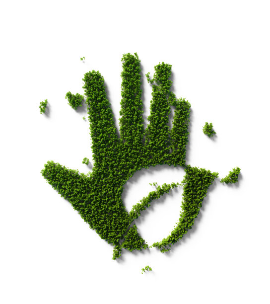 可持续性概念-绿色树木的叶子形状与白色背景上的手形相交图片下载