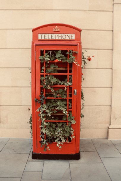 带玫瑰的伦敦电话亭图片下载