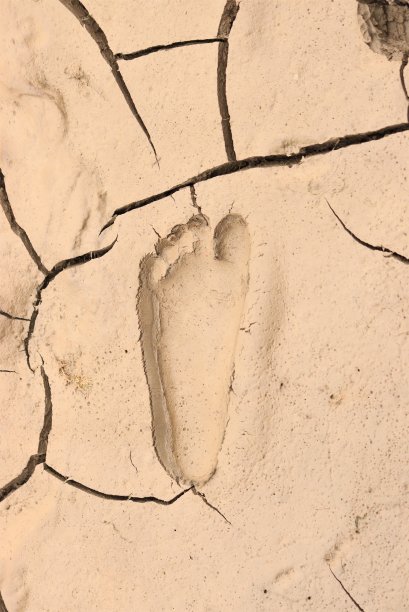 泥里的脚印图片下载