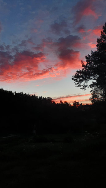 在俄罗斯卡累利阿的森林湖上，五颜六色的日出和卷云。自然景观，垂直照片图片下载