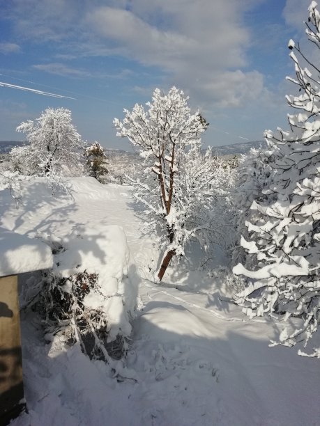 美丽的雪景图片下载