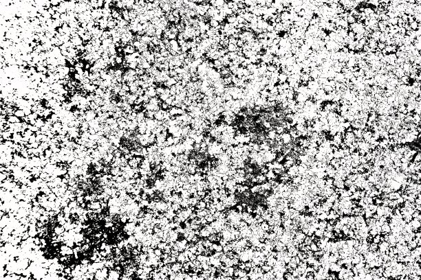 黑白纹理图片下载