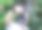 一名亚洲男子手持中画幅相机，对焦拍摄。图片下载
