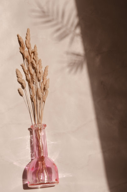 用柔和的颜色模拟极简设计。图片下载