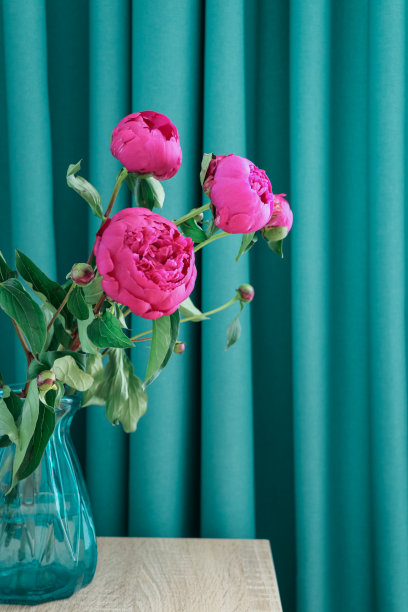 桌上摆着一束紫红色的牡丹和一个蓝色的玻璃花瓶，映衬着蓝色的窗帘图片下载