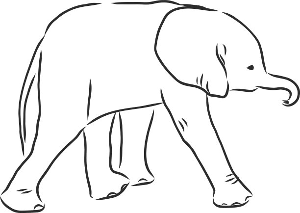 轮廓风格的大象孤立在白色上图片下载