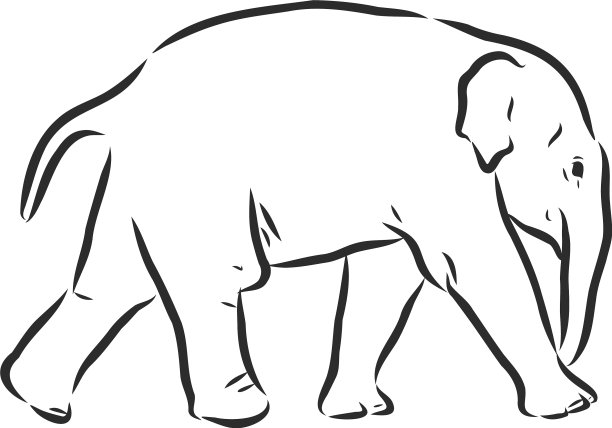 轮廓风格的大象孤立在白色上图片下载