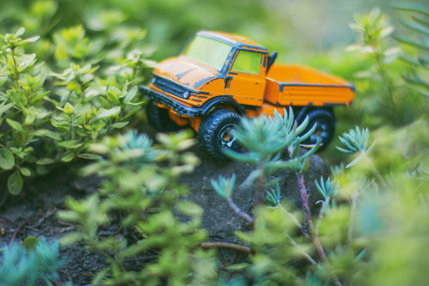 旧橙色卡车在丛林库存照片图片下载