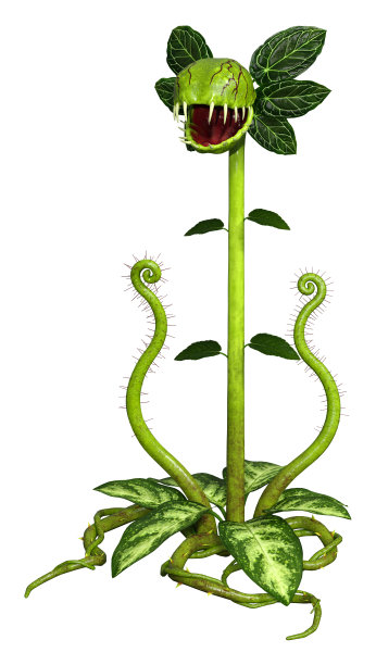 3D插图食肉植物上白色图片下载