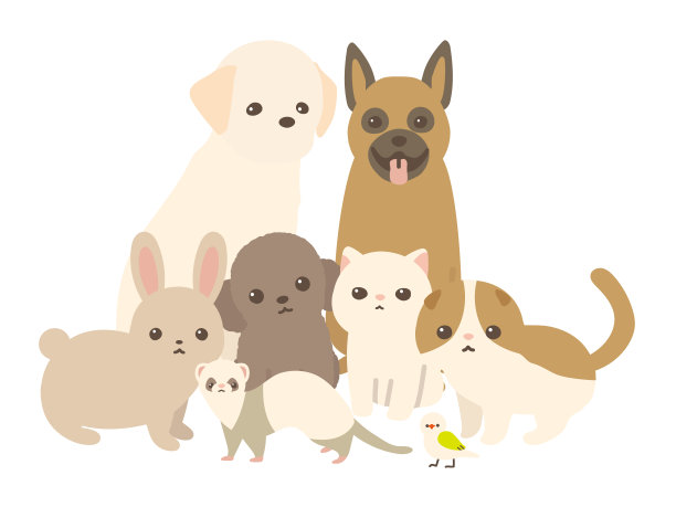 动物们成群地看着摄像机。白色背景。图片下载