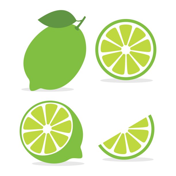 白色背景上的酸橙果实切片和叶子，酸橙整体，一半和切片矢量图。绿柑橘系列图标图片下载