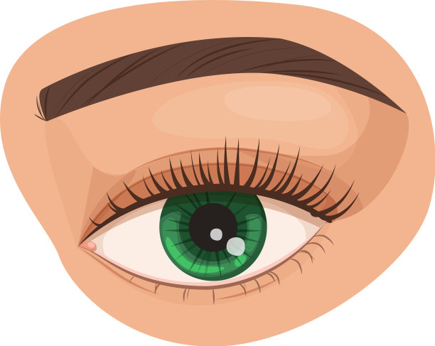 人类视觉，生物学，解剖学人和人类图片下载