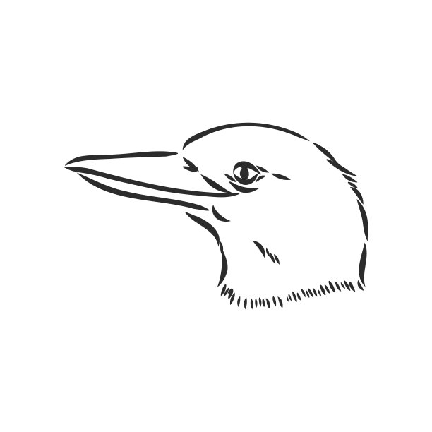 黑色概述笑翠鸟画图片下载