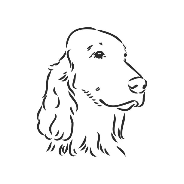 狗手画英国赛特孤立图片下载