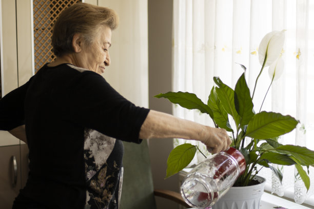 个人胜利图片下载