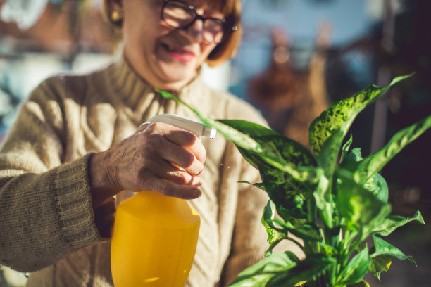 植物看守图片下载
