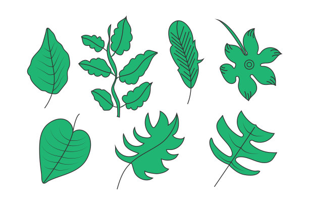 热带叶，叶，叶植物，植物图片下载