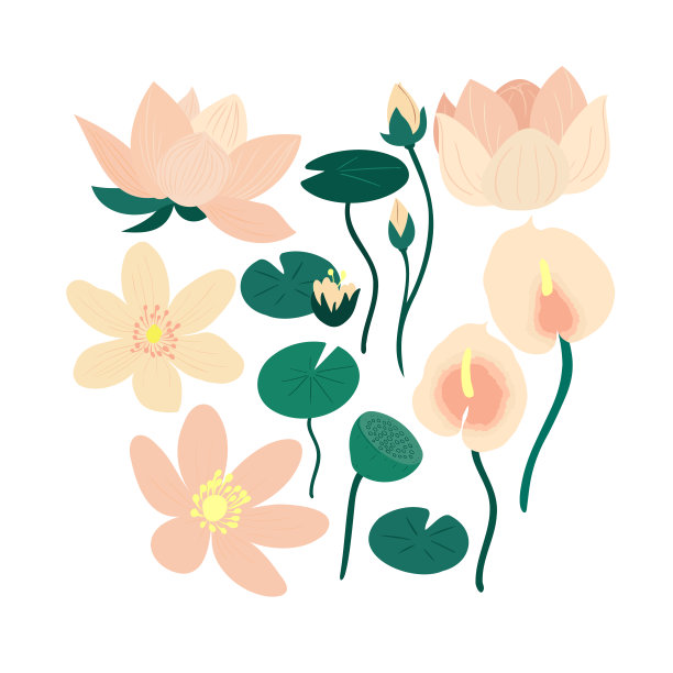 日式花园图片下载