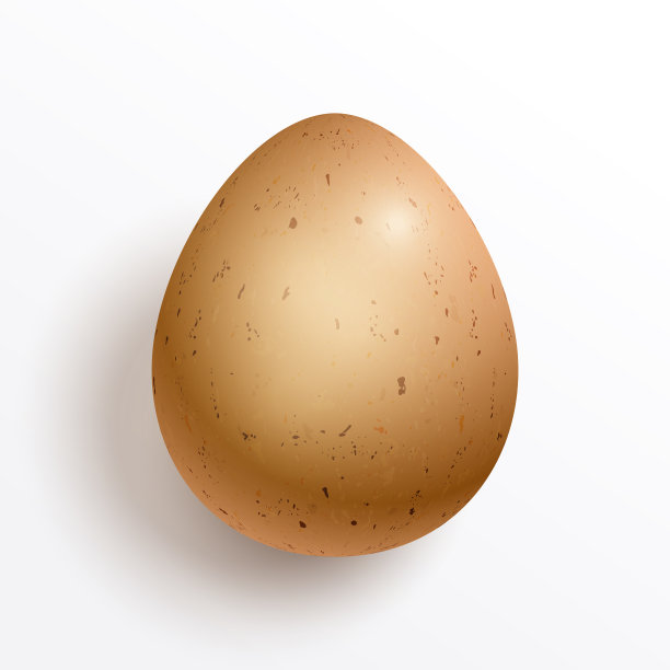 一个真实的鸡蛋孤立在白色图片下载
