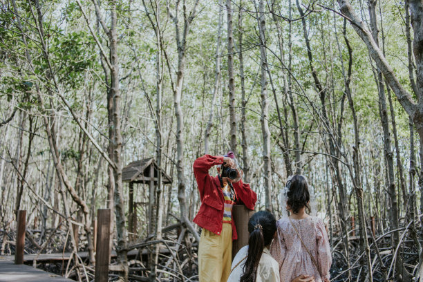 强壮的奶奶和她可爱的家人在红树林的夏天拍照图片下载