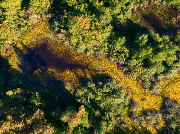 野生河无人机拍摄图片下载