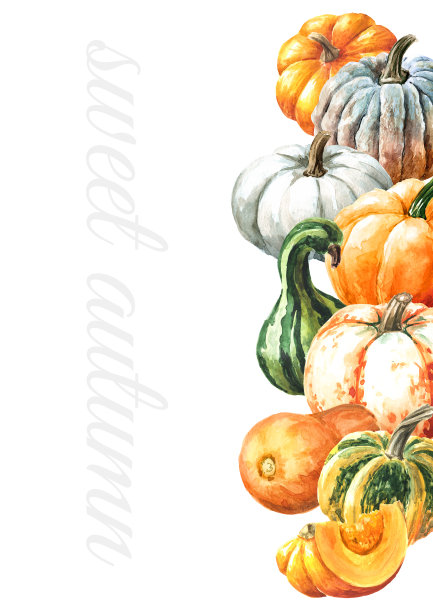 甜蜜的秋季卡。新鲜成熟的装饰彩色南瓜或南瓜。水彩手绘插图孤立的白色背景图片下载