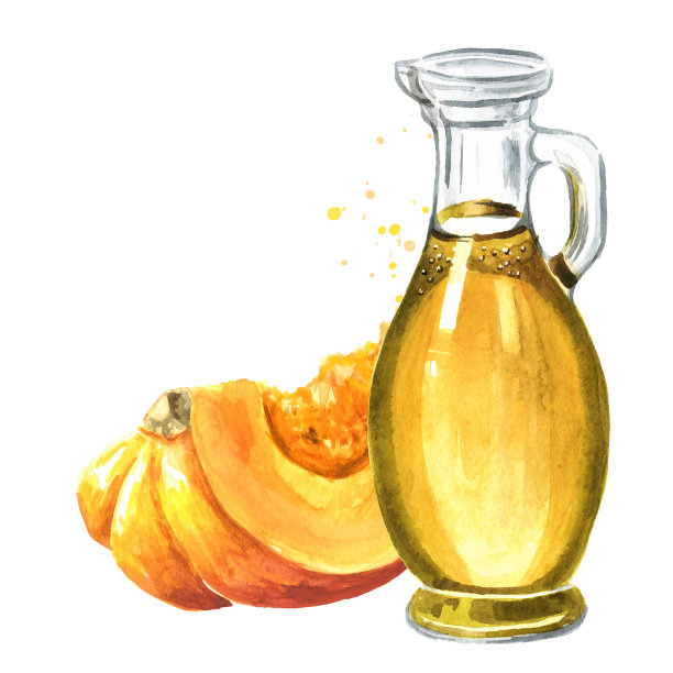一瓶新鲜的初榨南瓜油。手绘水彩插图孤立的白色背景。图片下载