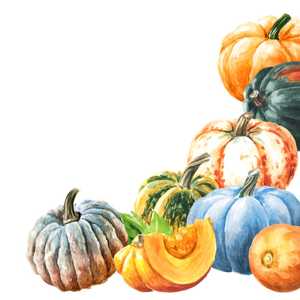 甜蜜的秋季卡。新鲜成熟的装饰彩色南瓜或南瓜。水彩手绘插图，孤立的白色背景图片下载