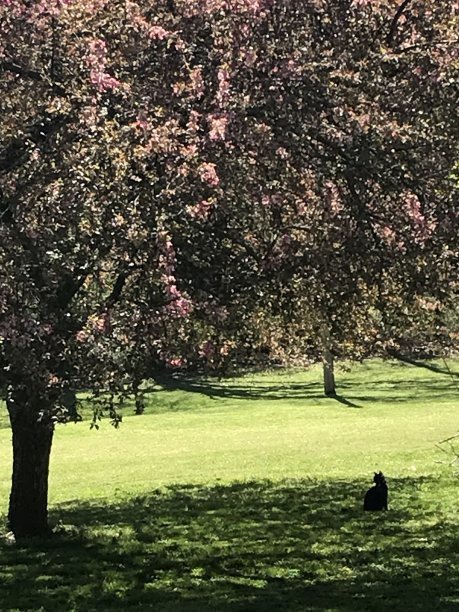 永远的爱图片下载