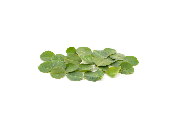 很多绿三叶草。图片下载