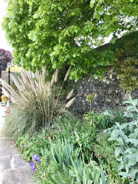 坎特伯雷图片下载