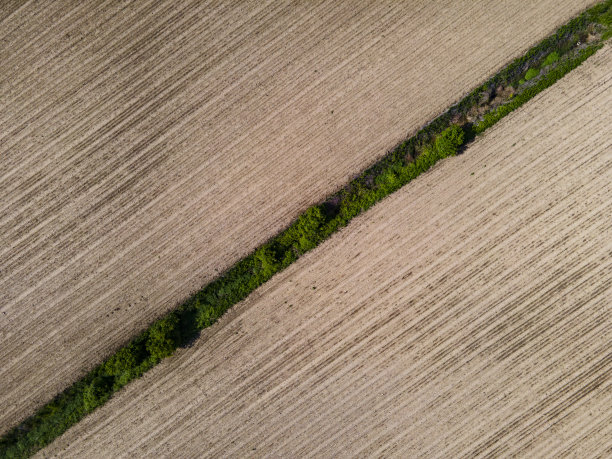 从正上方斜向分隔农田的绿线图片下载