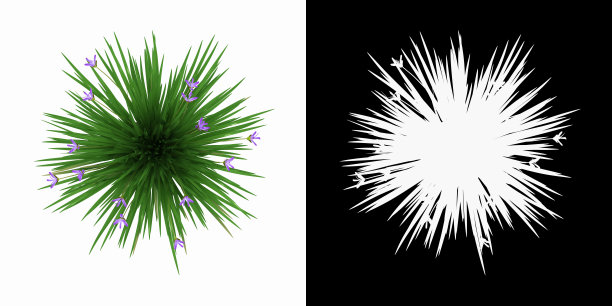 高角度视图图片下载