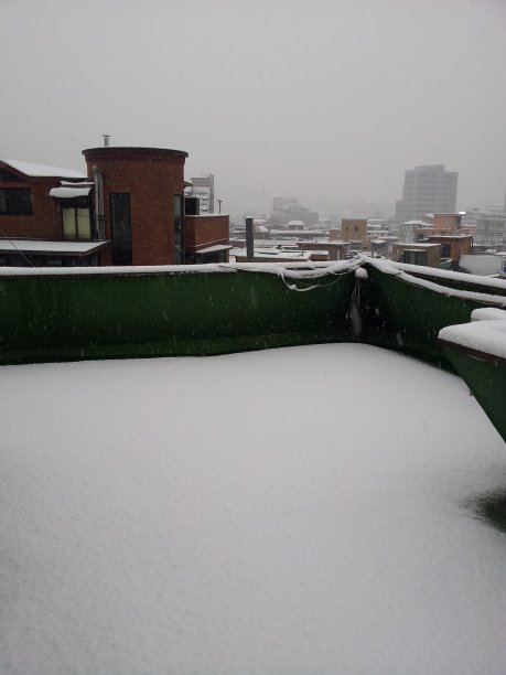 从白雪覆盖的屋顶上看这个城市图片下载