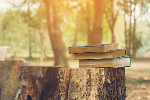 古籍一桩，识字率和知识概念图片下载