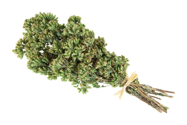 干燥的牛至花束孤立在白色上。图片下载