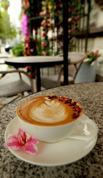 拿铁和植物艺术图片下载