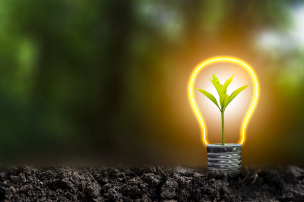 3D插图可再生能源概念地球日或环境保护保护生长在地上的森林，帮助拯救地球。图片下载