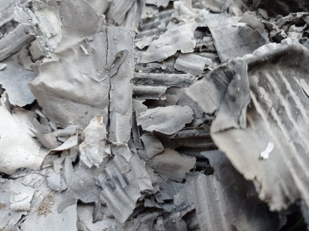 大火烧毁了一切图片下载