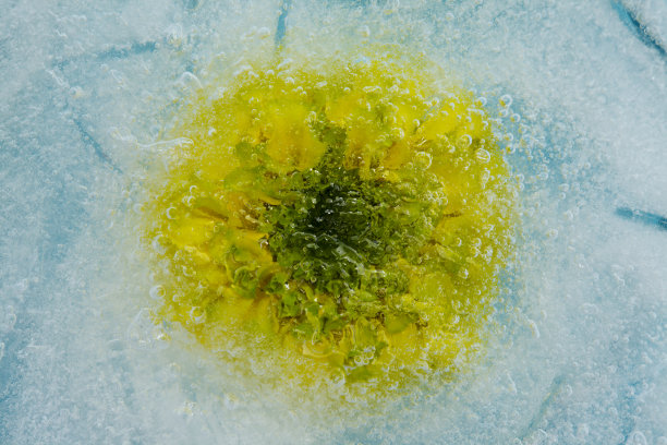 冰的质地，里面有小的圆形气泡图片下载