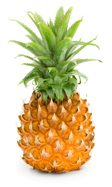 小菠萝孤立在白色背景上。异国情调的水果。剪切路径图片下载