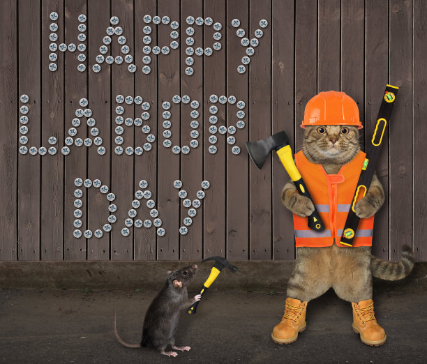 在栅栏附近用水平尺和斧头建造图片下载